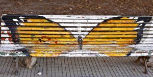 Butterfly Bench 